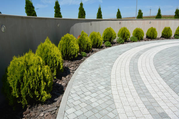 Best Custom Driveway Pavers  in Nanawale Estates, HI